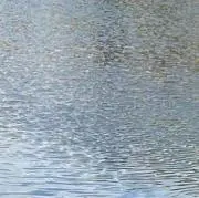 womuの画像