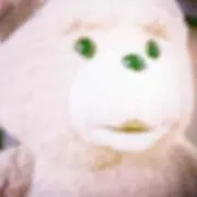ふぃふぃの画像