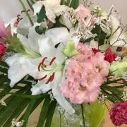 Nikkyの画像