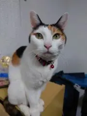まる