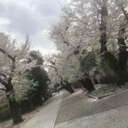 LKZ