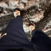 蒲焼四太郎の画像