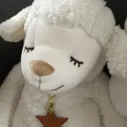 たいぴーの画像