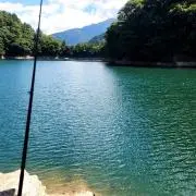 ぎっくり腰アングラー