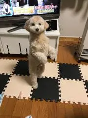 そらきよの画像