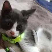 ビリケン