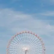 はくまいの画像