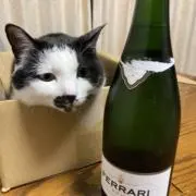 オレンジの画像