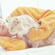 かの画像