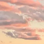 a プロフィール確認要の画像
