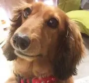 junの画像