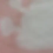 ゆうかの画像