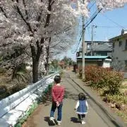 シンディの画像