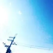 美