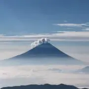 fuwa