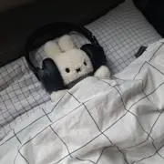 R_3の画像