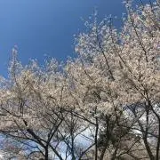 おらむ