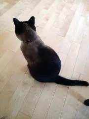 ミックスナッツの画像