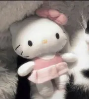 すーの画像