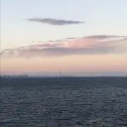 もりだー