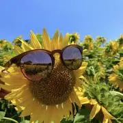 ちょこの画像