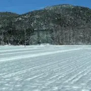 しゆの画像