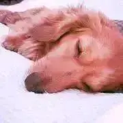 ともな