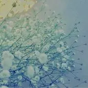ぱんだの画像