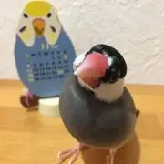 ぐんちゃん♡の画像