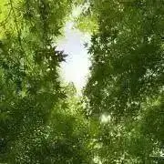 ゆうたちゃんプロフ必読