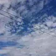 青空(^ー^)の画像
