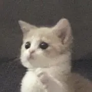 にの画像