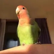 も〜ちゃんの画像