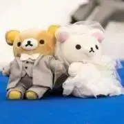 くま子の画像