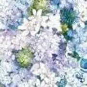 水無月