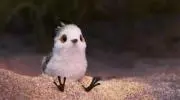 りとら－の画像