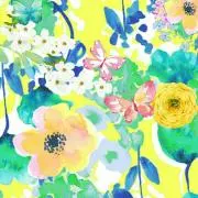 リー☆の画像