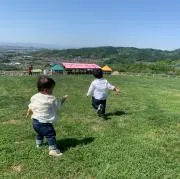 だるまの画像