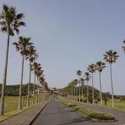 タカの画像