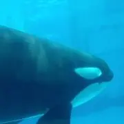 まったりの画像