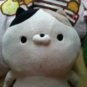 ネコ丸の画像
