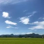 かな子