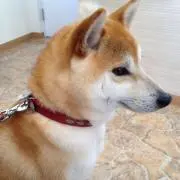 なっちの画像