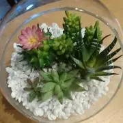 n_n  akiの画像