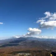 B ossの画像