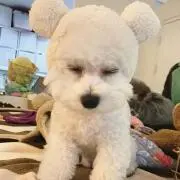 なな