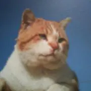 nyajilaの画像
