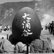 のりたまの画像