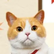 にゃらんの画像
