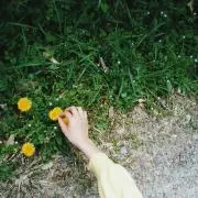 otarouの画像